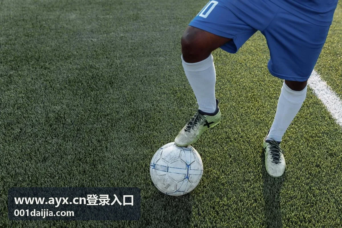 AYX登录入口路径固定与账号准备示意